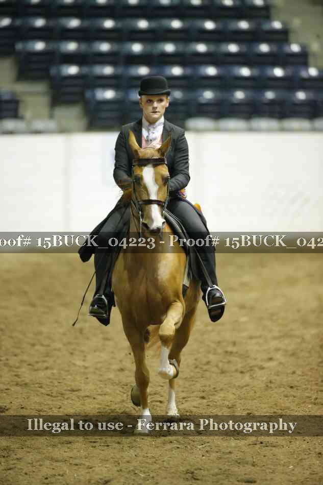 Proof 15BUCK_04223