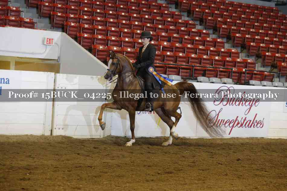 Proof 15BUCK_04225