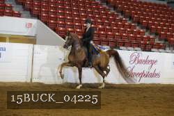 15BUCK_04225 proof