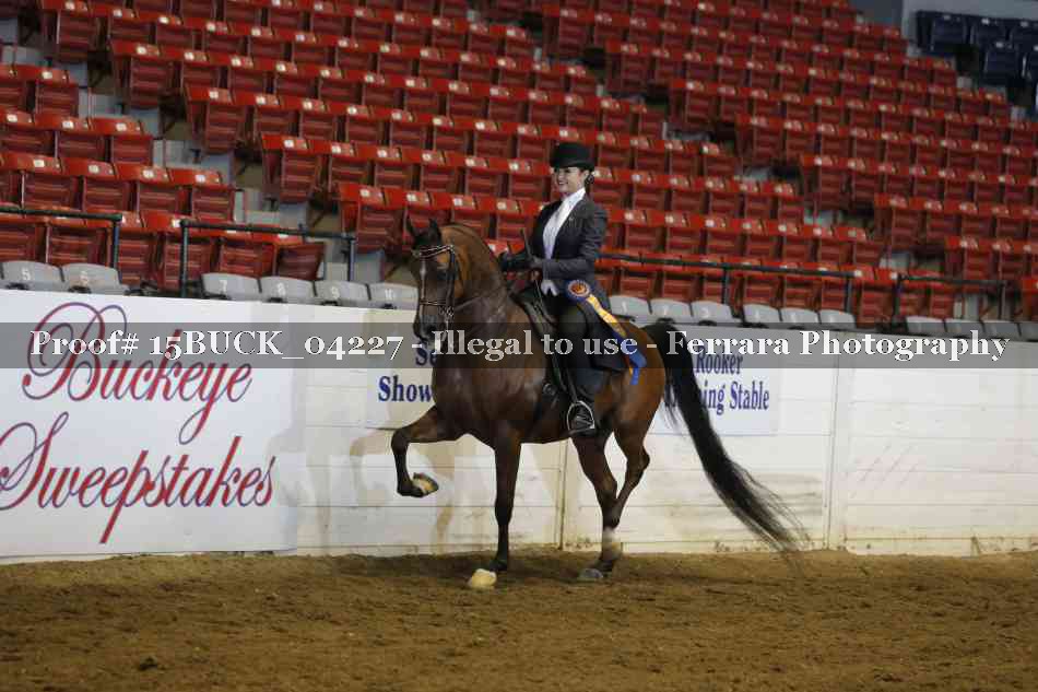 Proof 15BUCK_04227