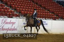 15BUCK_04227 proof