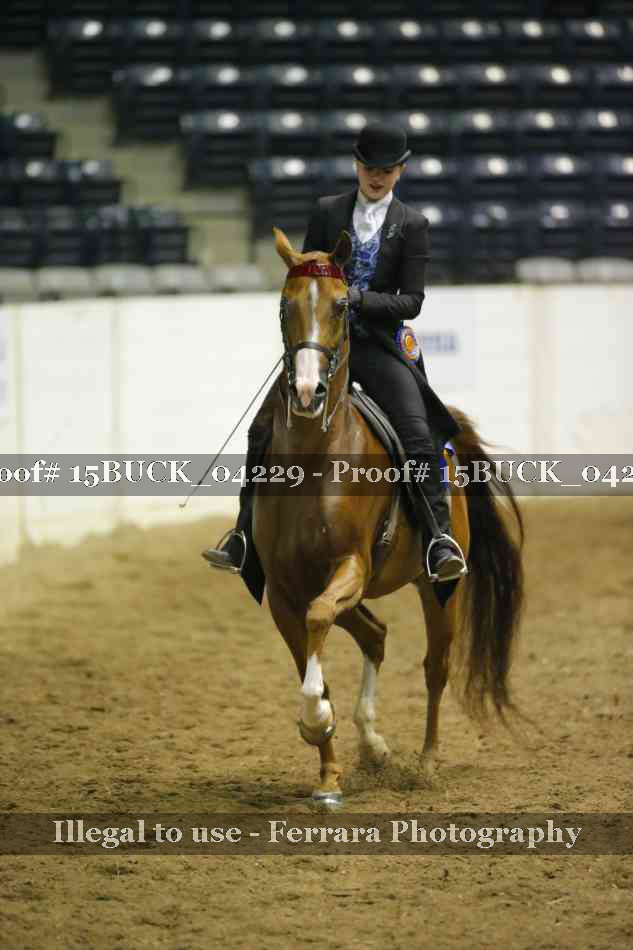 Proof 15BUCK_04229