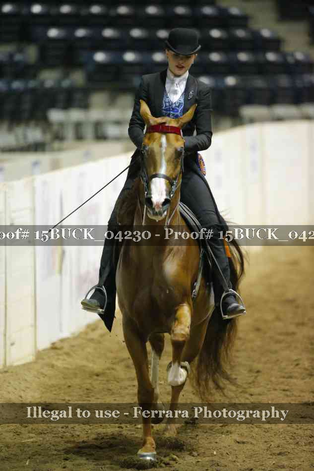Proof 15BUCK_04230
