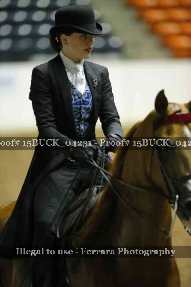 Proof 15BUCK_04231