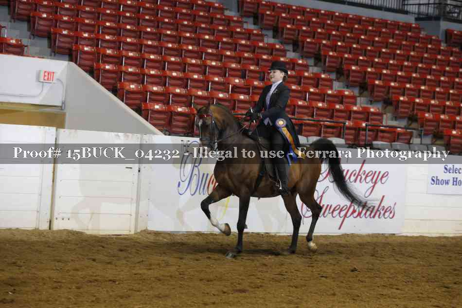 Proof 15BUCK_04232