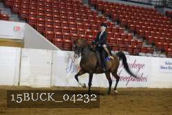 15BUCK_04232 proof