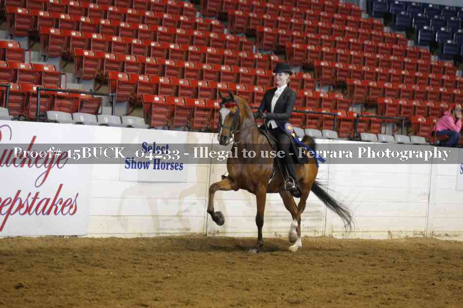Proof 15BUCK_04233