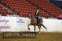 15BUCK_04233 proof
