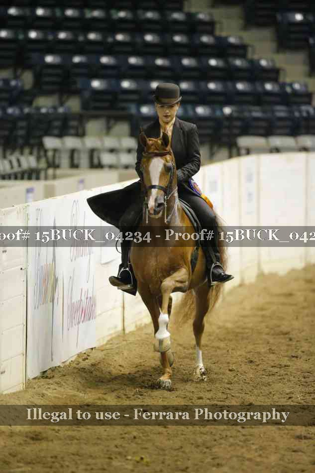 Proof 15BUCK_04234