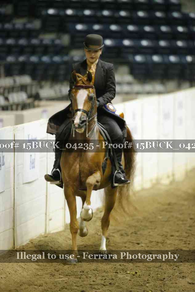 Proof 15BUCK_04235