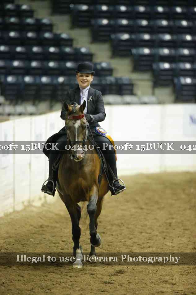 Proof 15BUCK_04240