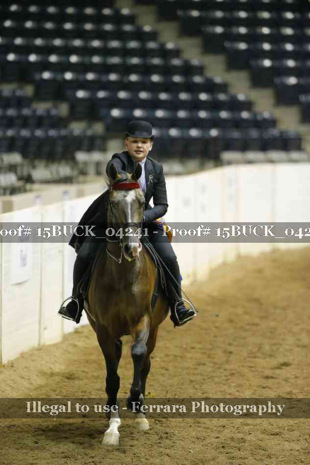 Proof 15BUCK_04241