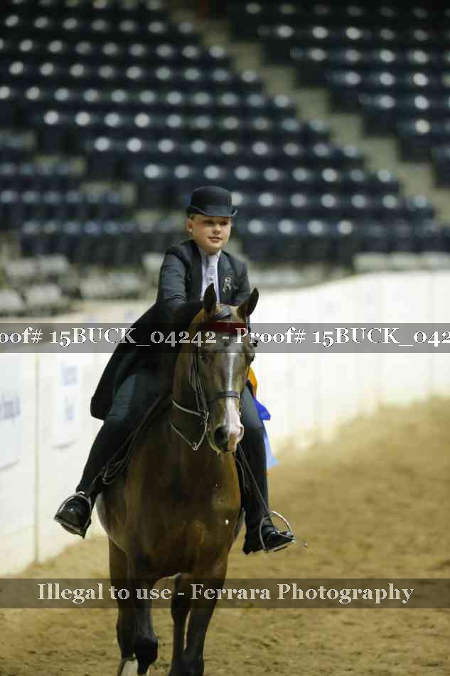 Proof 15BUCK_04242