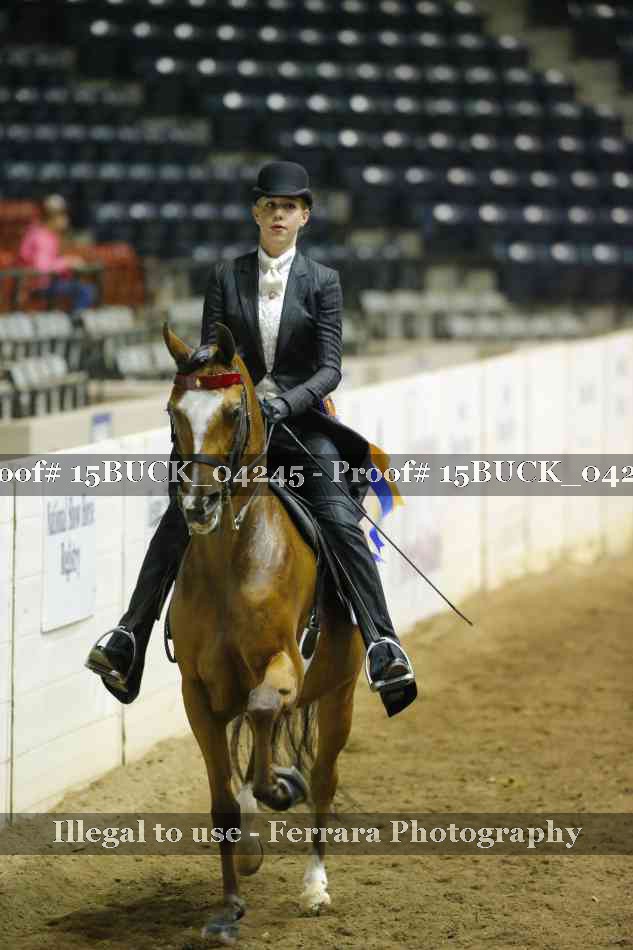 Proof 15BUCK_04245