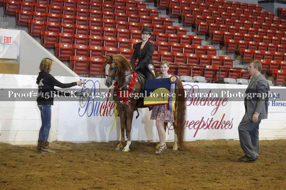 Proof 15BUCK_04250
