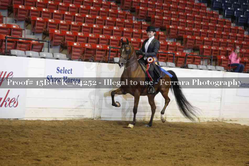 Proof 15BUCK_04252