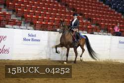 15BUCK_04252 proof