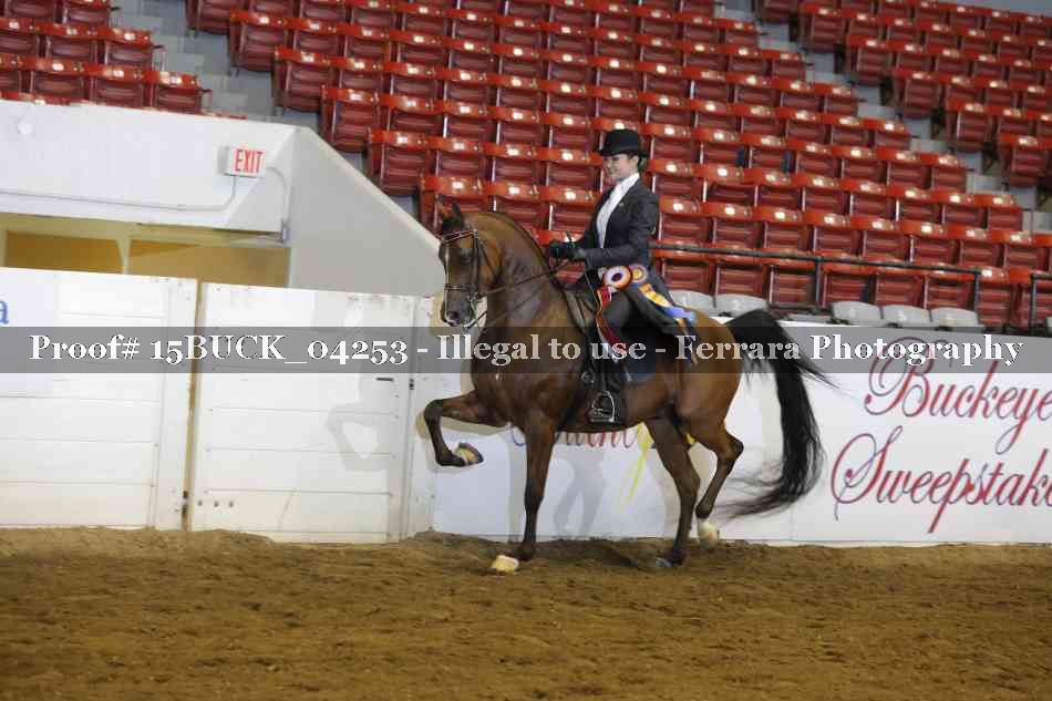 Proof 15BUCK_04253