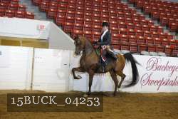 15BUCK_04253 proof