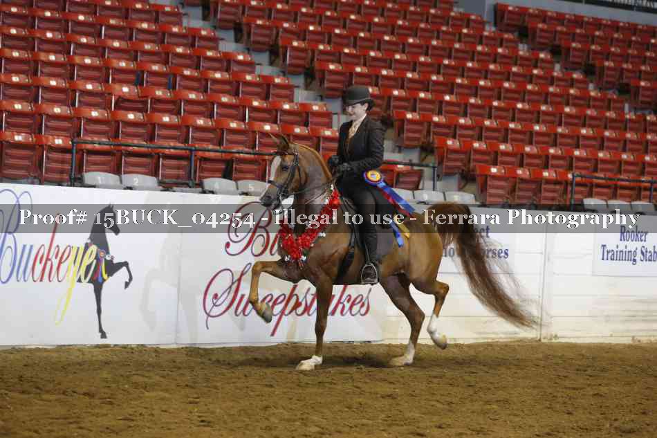 Proof 15BUCK_04254