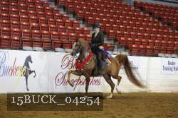 15BUCK_04254 proof