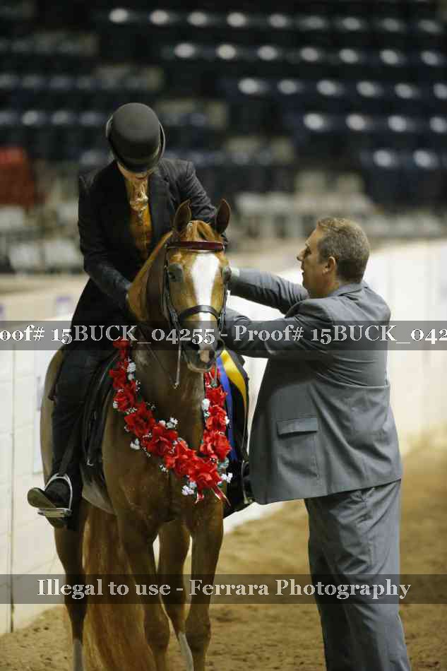 Proof 15BUCK_04255