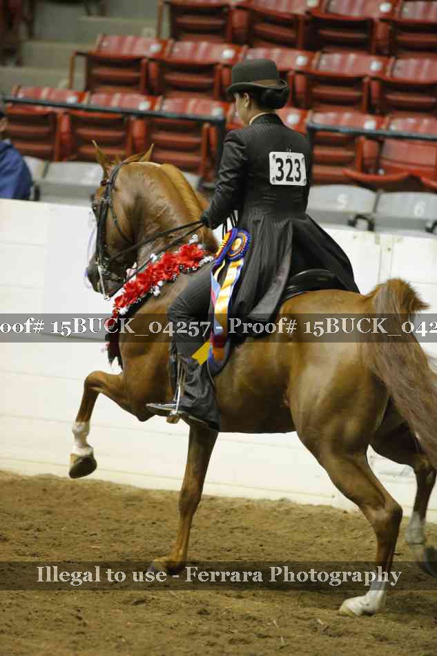 Proof 15BUCK_04257