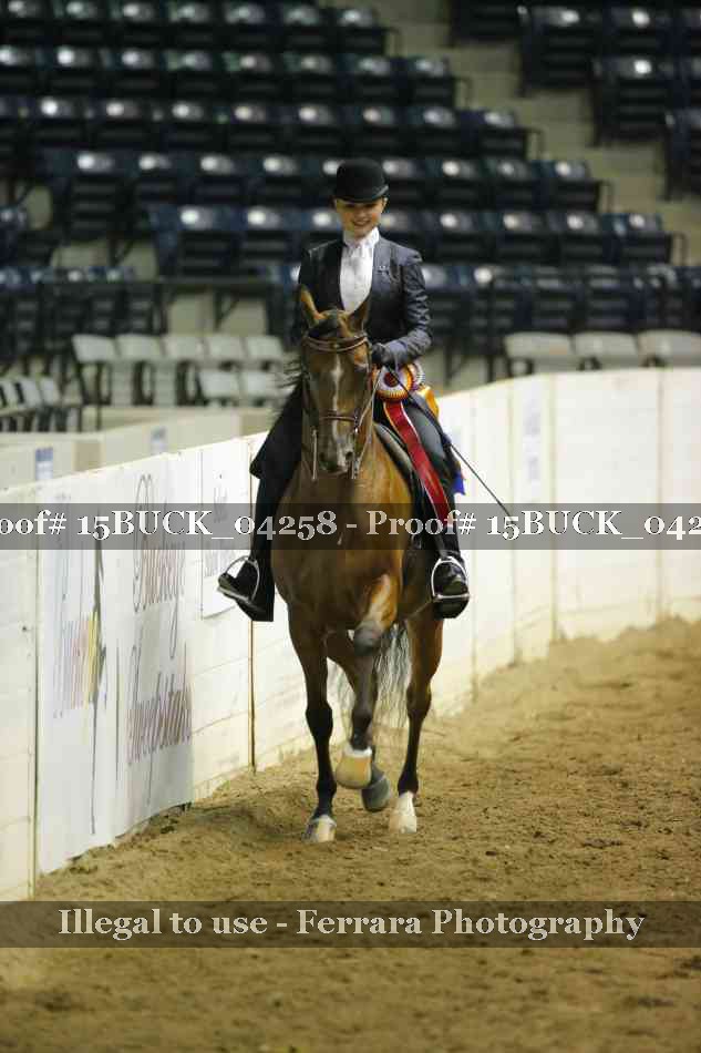 Proof 15BUCK_04258