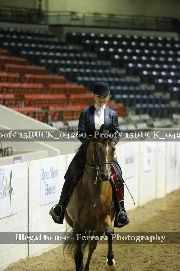 Proof 15BUCK_04260