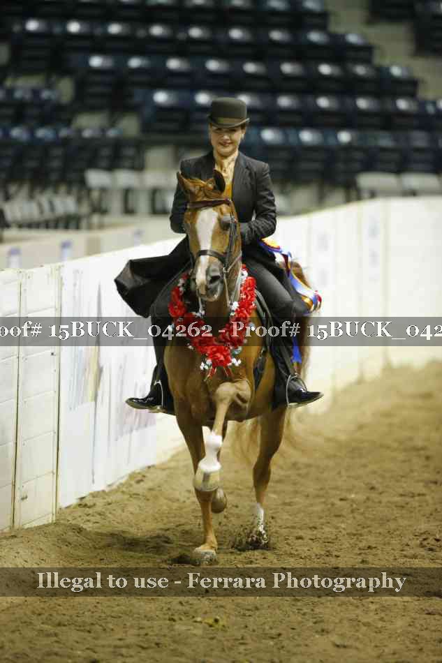 Proof 15BUCK_04262