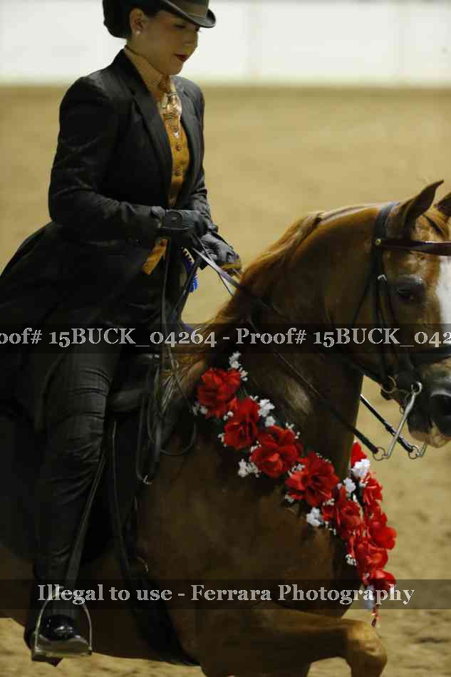 Proof 15BUCK_04264