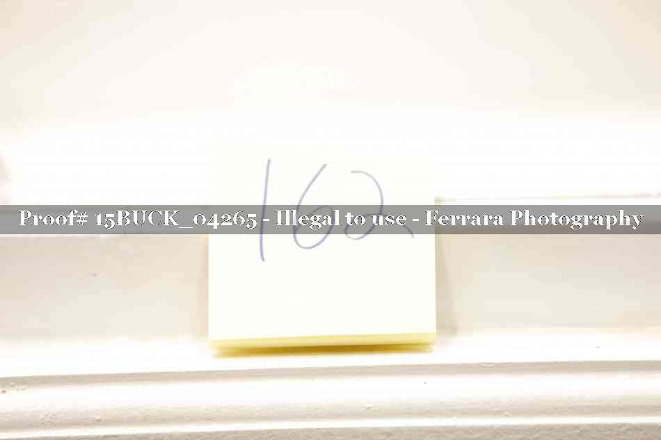 Proof 15BUCK_04265