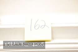 15BUCK_04265 proof