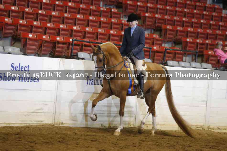 Proof 15BUCK_04267