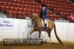 15BUCK_04267 proof