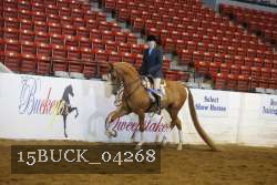15BUCK_04268 proof