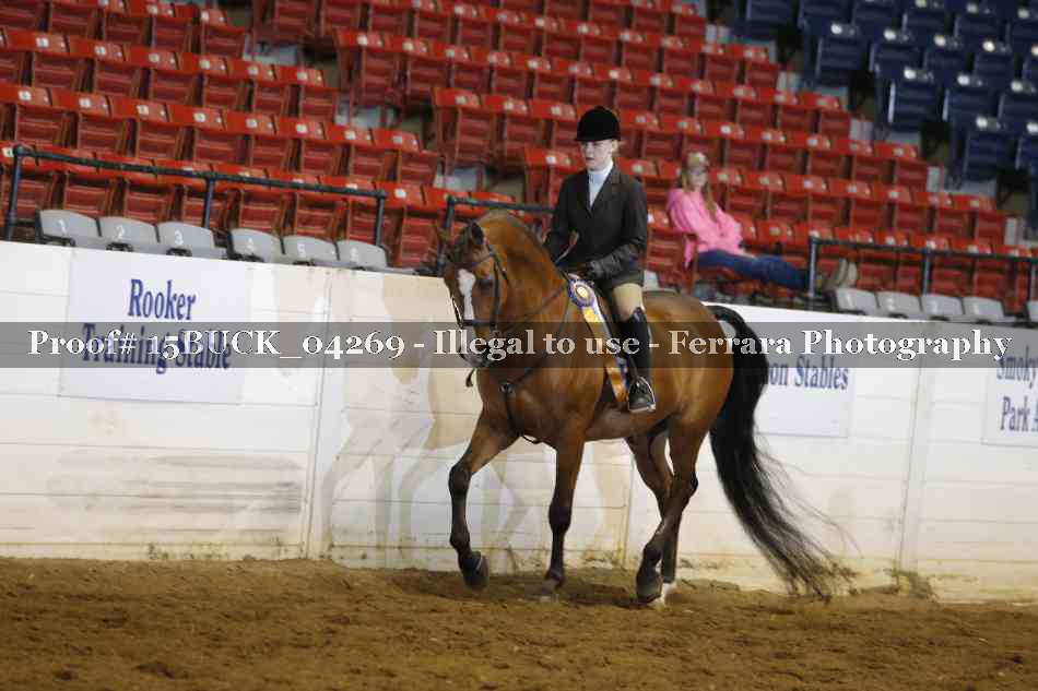 Proof 15BUCK_04269