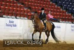 15BUCK_04269 proof
