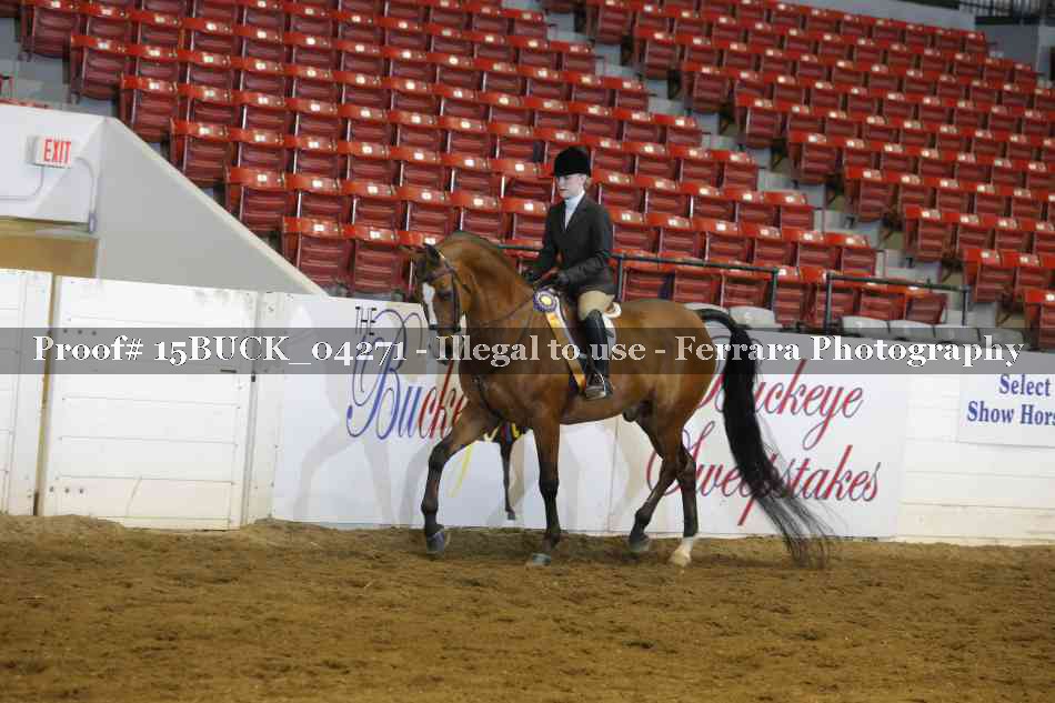 Proof 15BUCK_04271