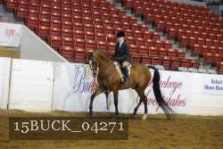 15BUCK_04271 proof