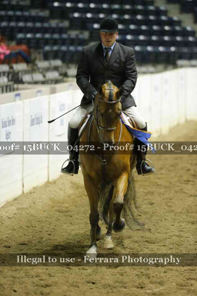 Proof 15BUCK_04272
