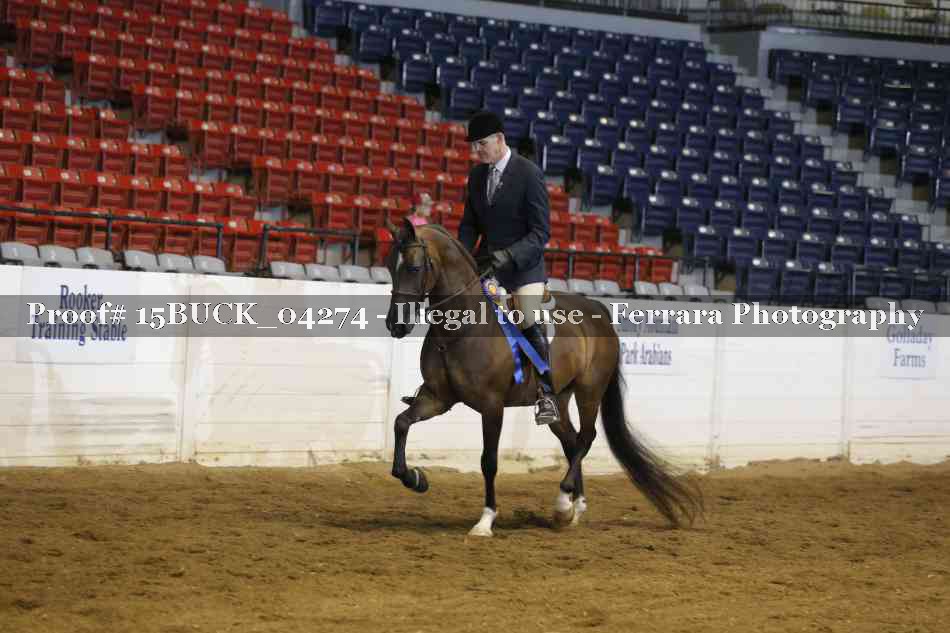 Proof 15BUCK_04274