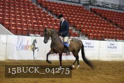 15BUCK_04275 proof