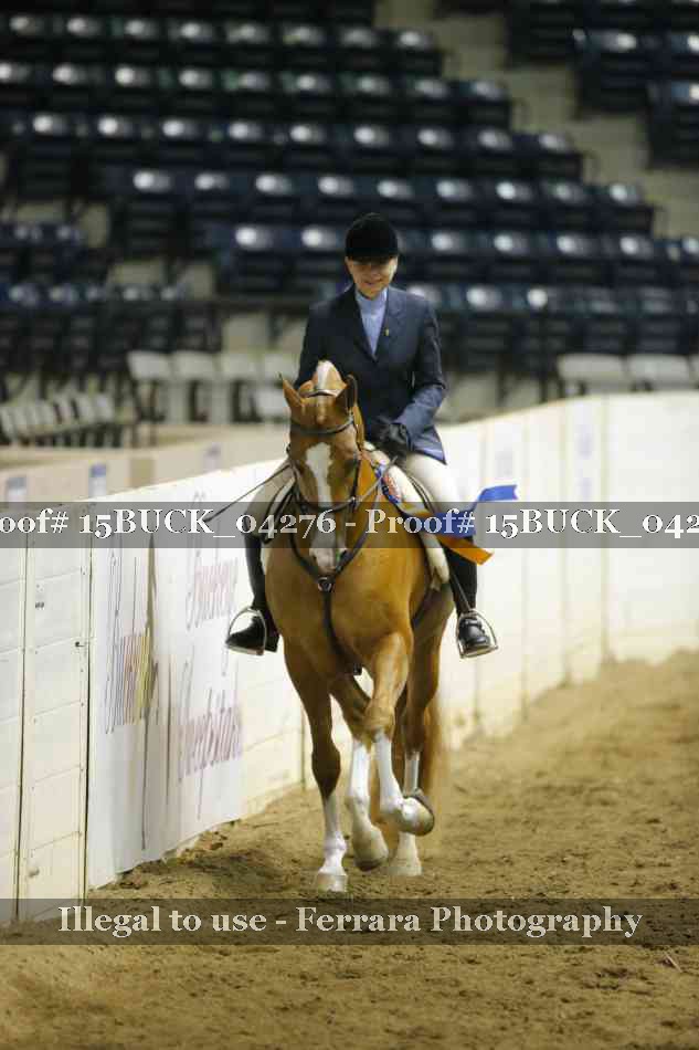 Proof 15BUCK_04276