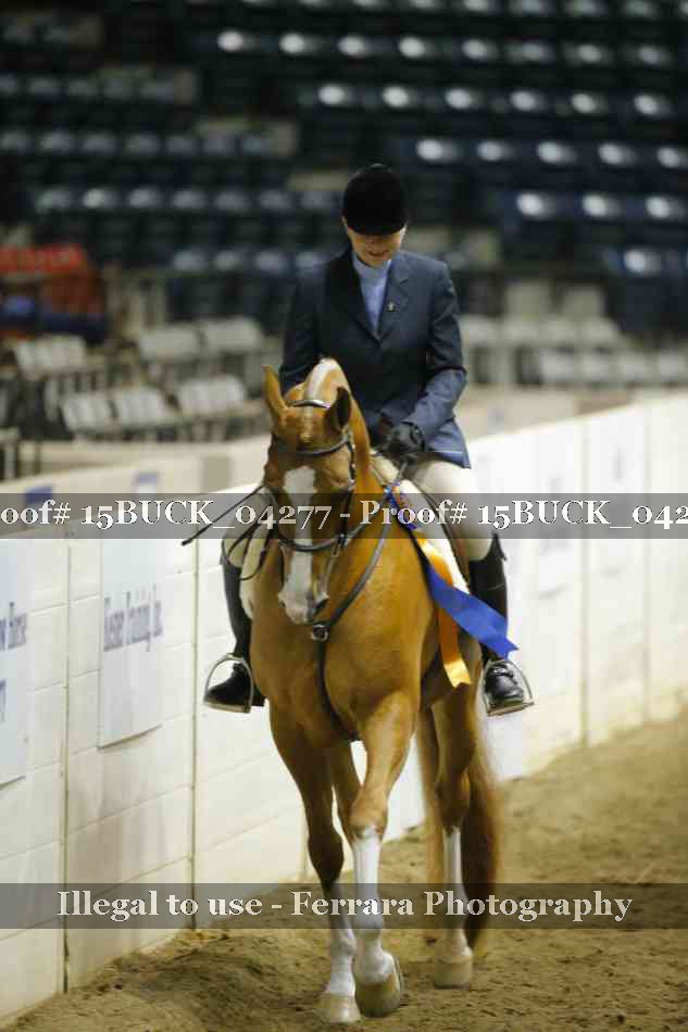 Proof 15BUCK_04277