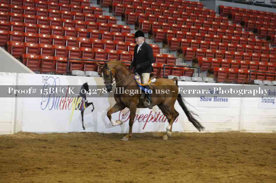 Proof 15BUCK_04278