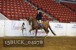 15BUCK_04278 proof