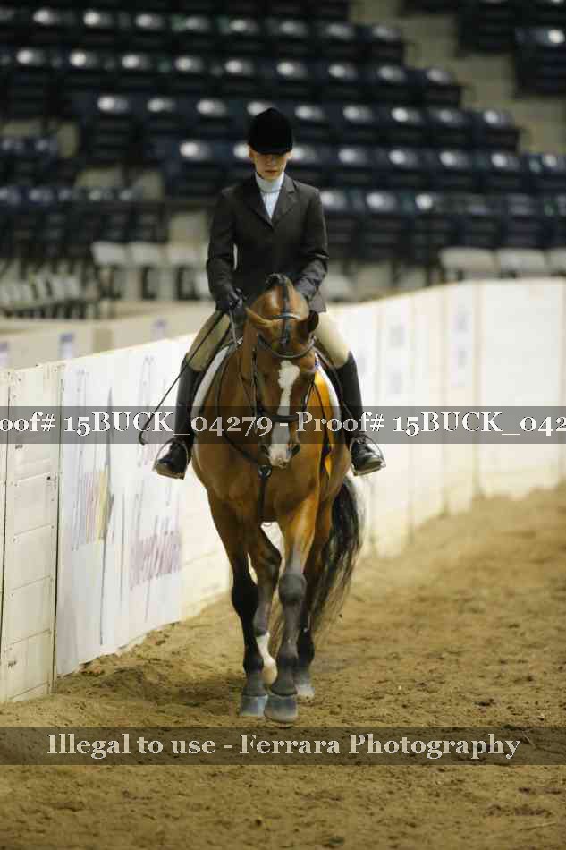 Proof 15BUCK_04279