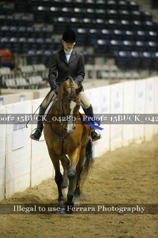 Proof 15BUCK_04280