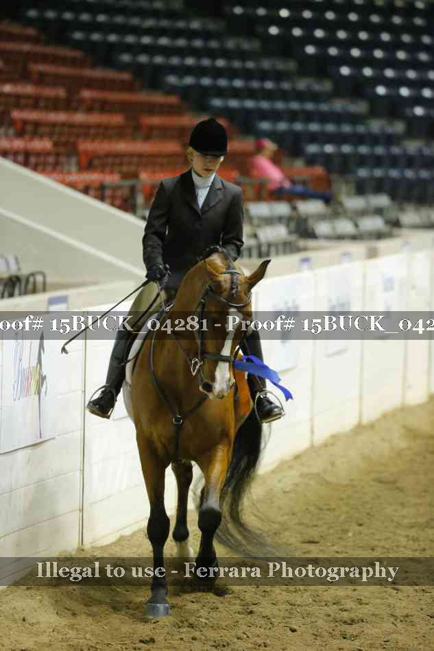 Proof 15BUCK_04281